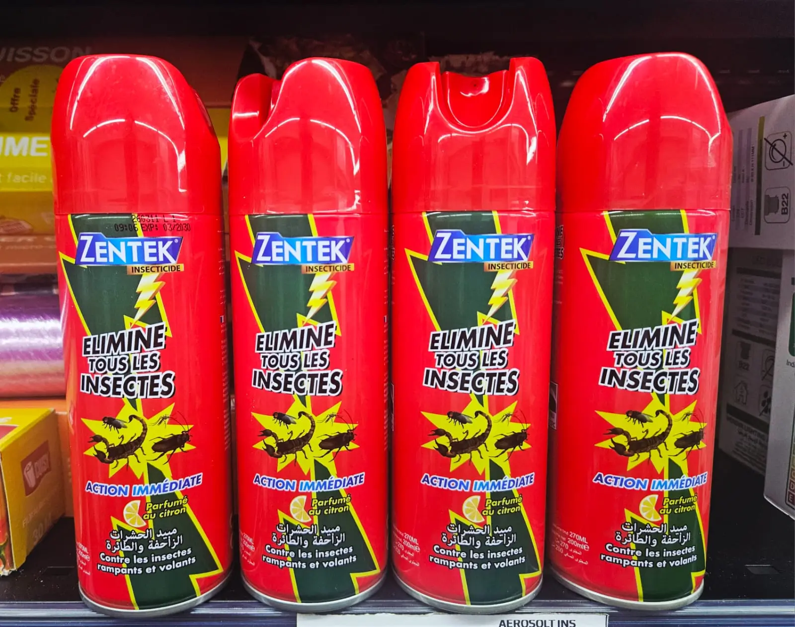 Are There Mosquitoes in Morocco? Essential Tips for Travelers
